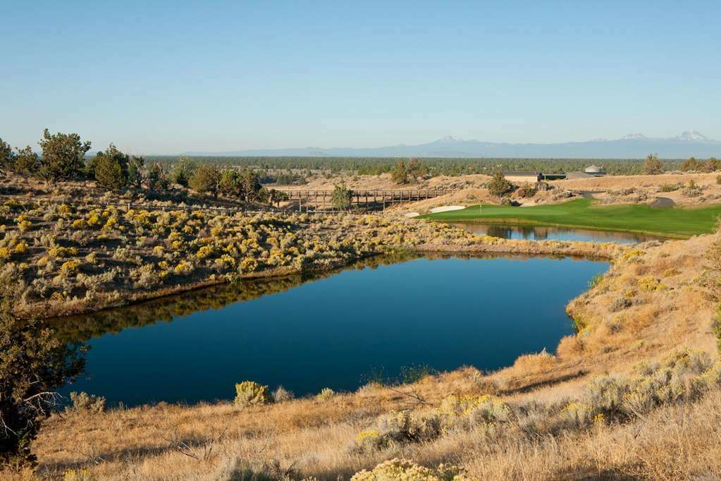 Fess Parker Wine Country Inn Los Olivos Rom bilde